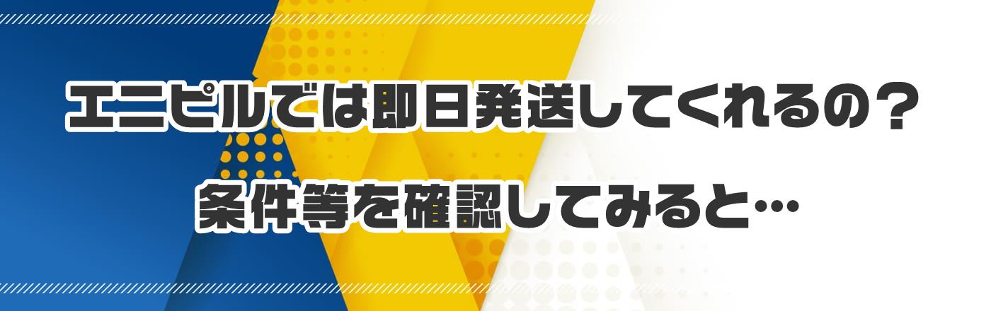 エニピルでは即日発送してくれるの?条件等を確認してみると…